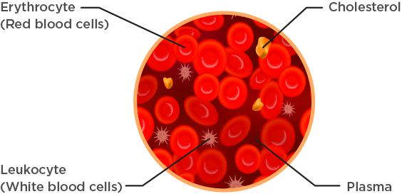 Haematological cancer