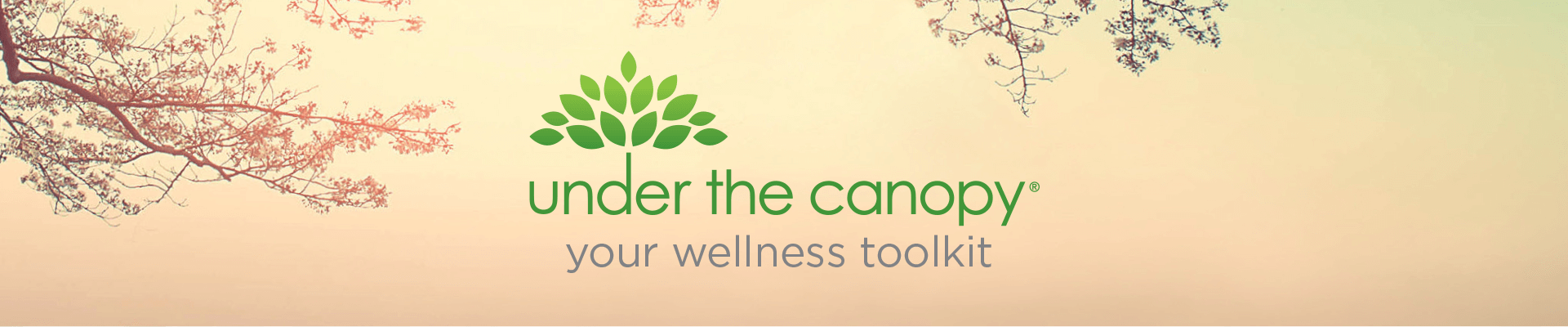 Under the Canopy -Hair loss prevention
